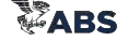 American Bureau of Shipping