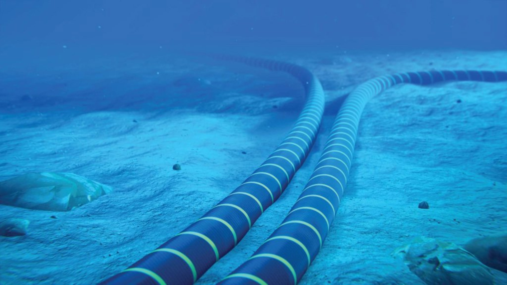 Cables That Listen Beneath the Waves